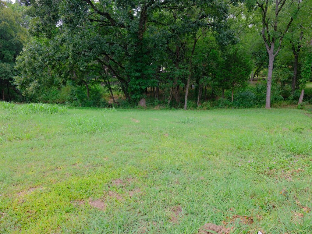 Picture 8