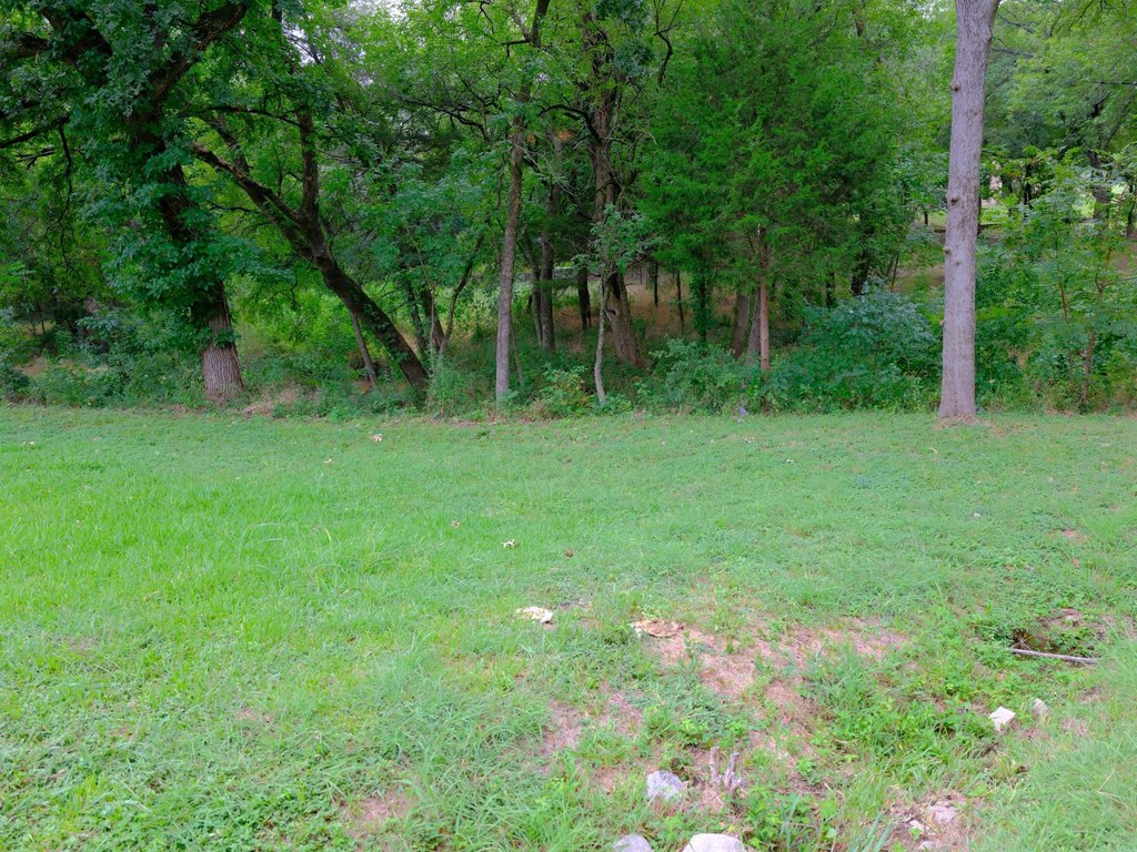 Picture 12