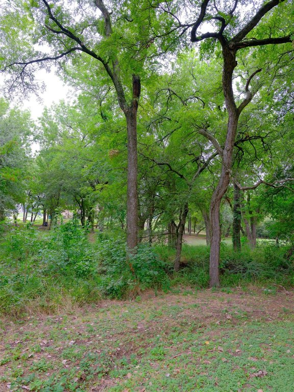 Picture 21
