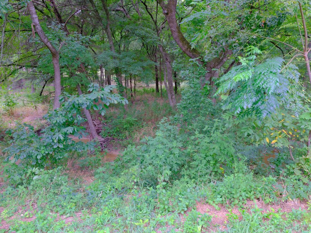 Picture 25