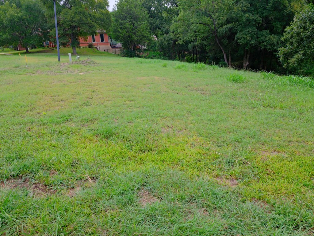 Picture 9