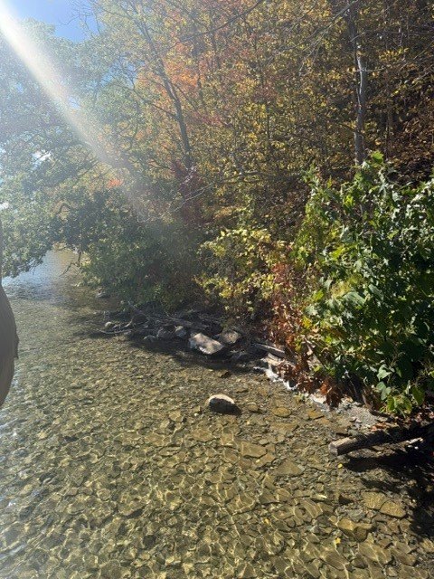 Picture 10