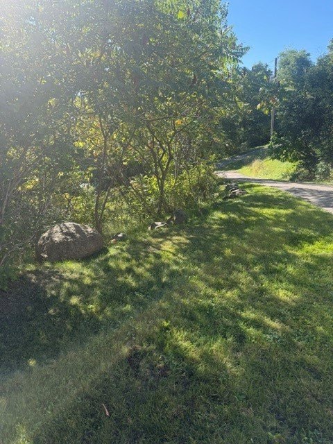 Picture 2