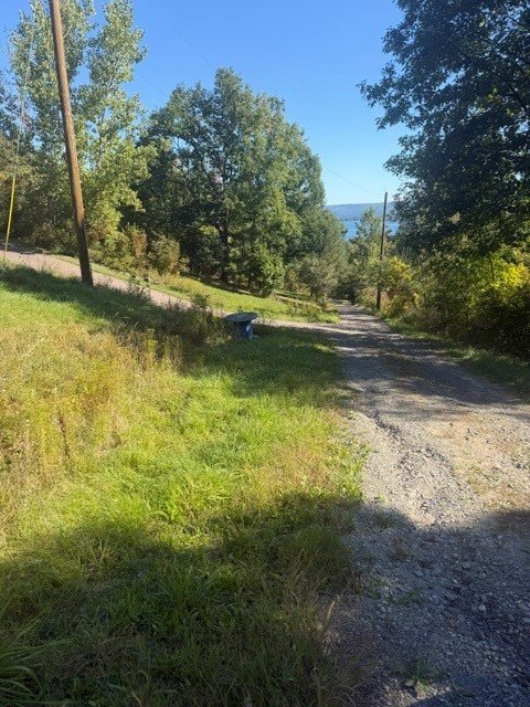 Picture 3
