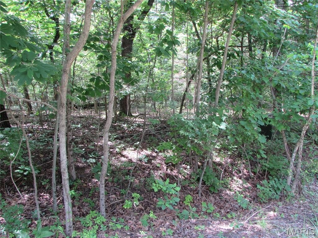 Picture 12