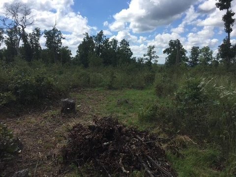 Ozarks Land with Utilities