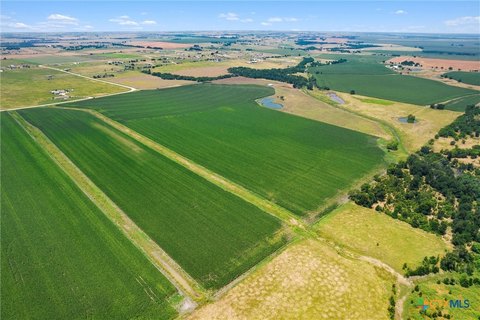 114 Acres in Williamson County