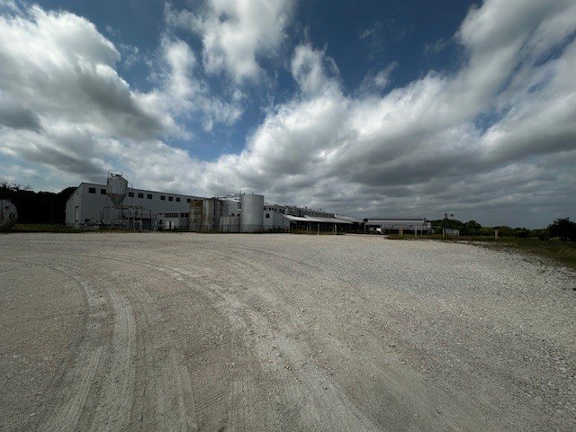 Picture 15