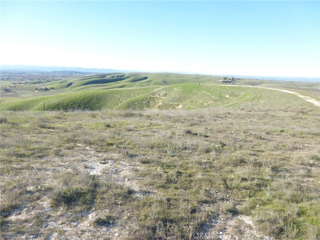 Picture 40