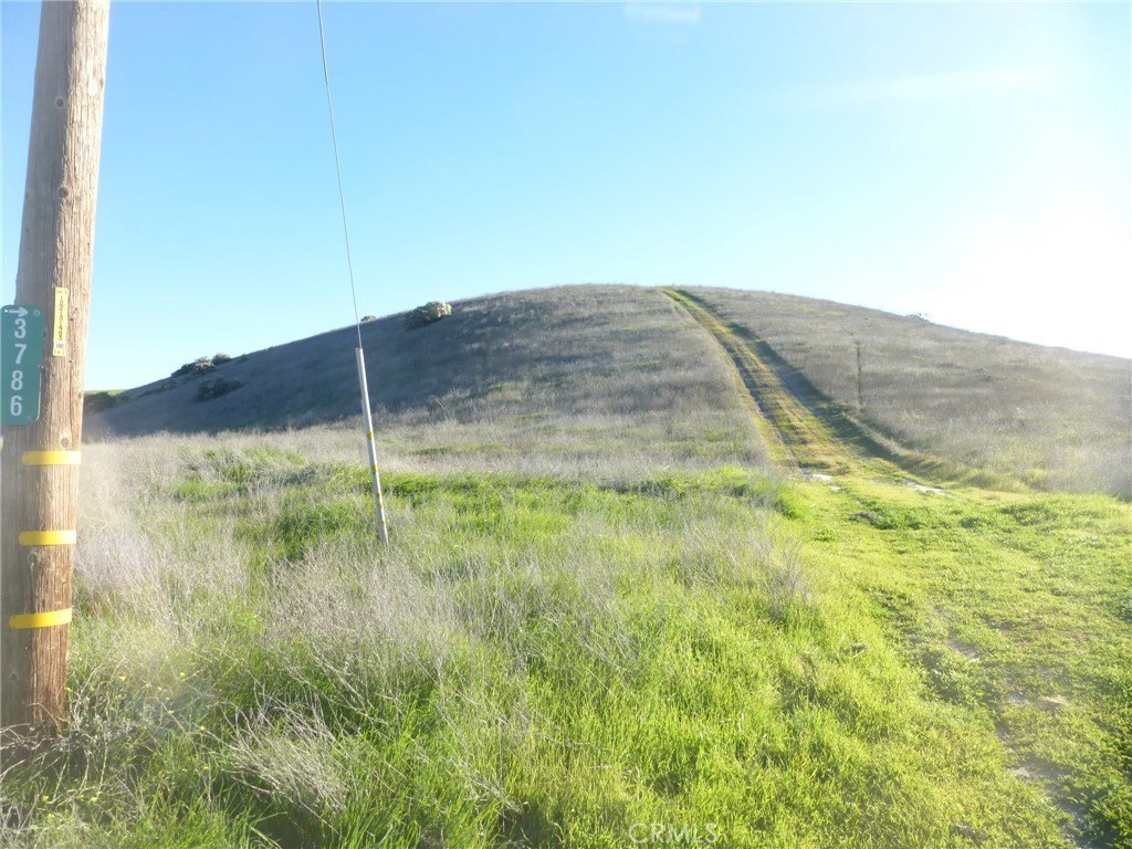 Picture 29