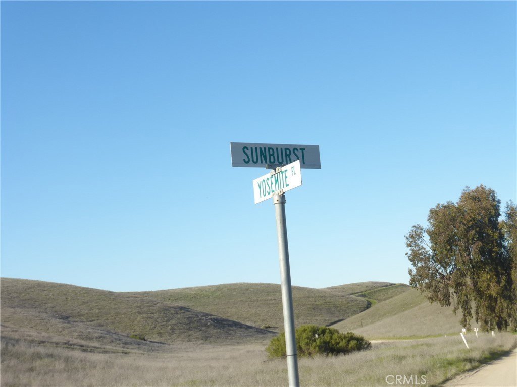 Picture 53