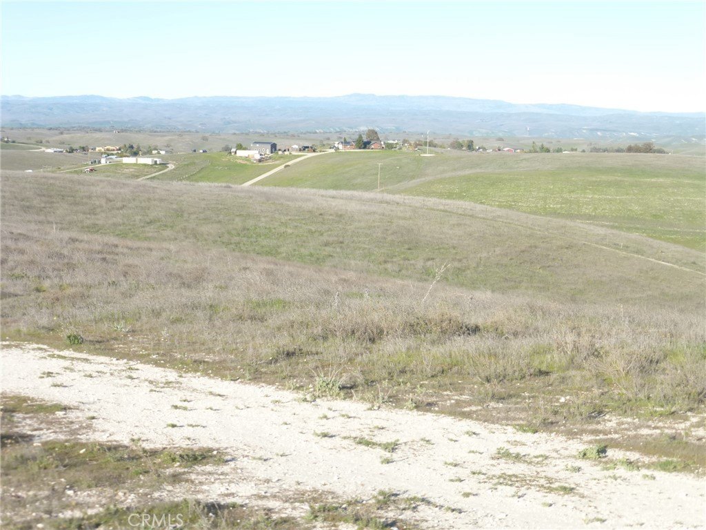 Picture 39