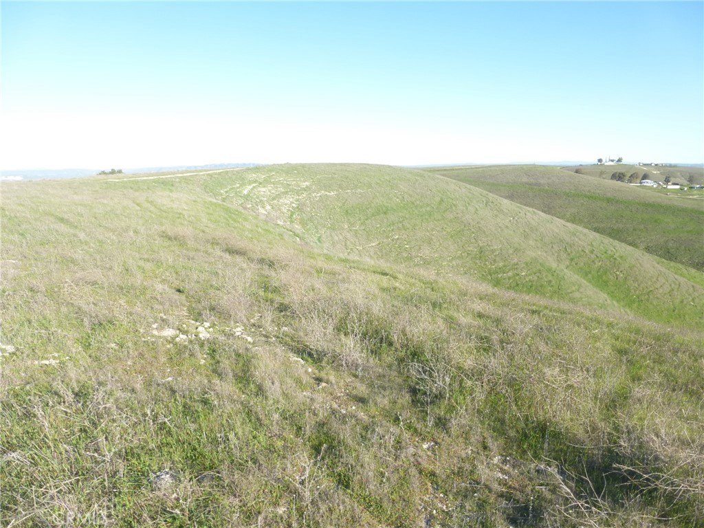 Picture 49