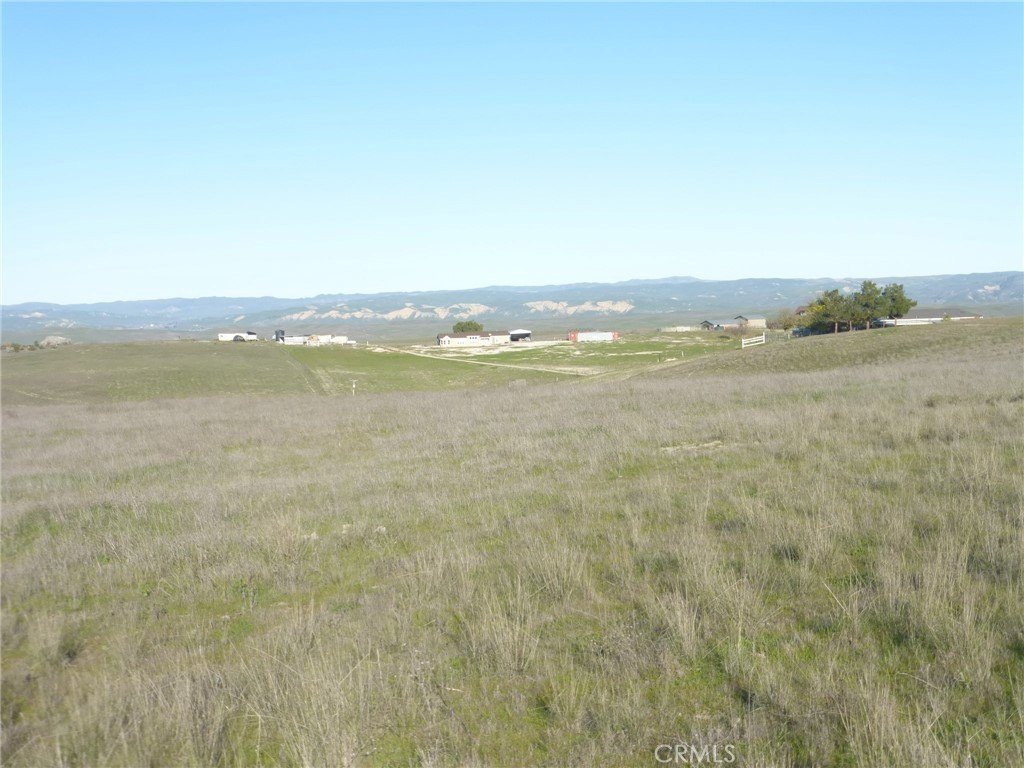 Picture 31