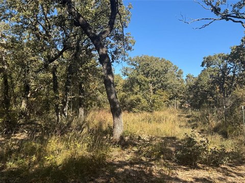 Picture of Land at Two Bush Rd 2139, Perrin, TX