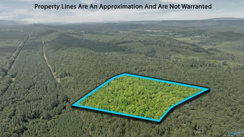 Wooded Land in Valley Head