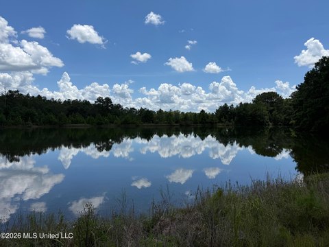 Land, Poplarville, MS