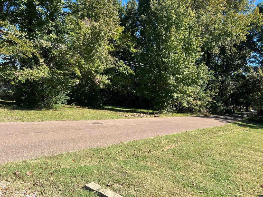Picture 2