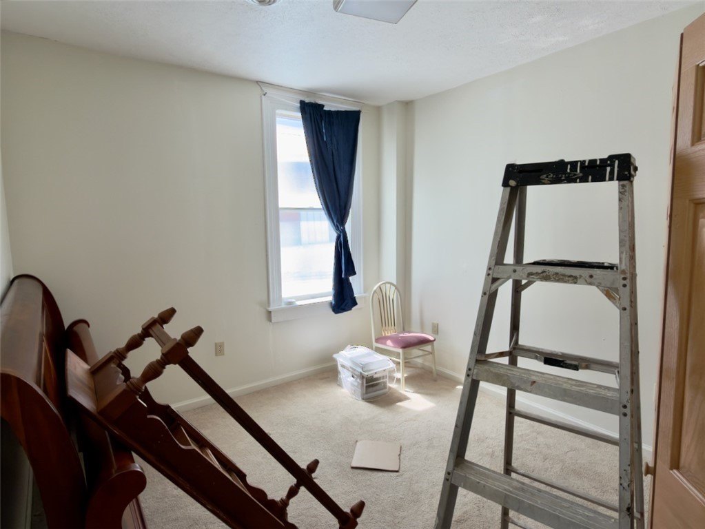 Picture 39