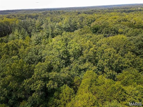 LAND - Robertsville, MO