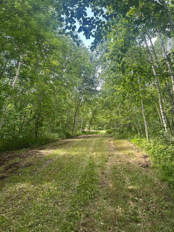 Picture 5