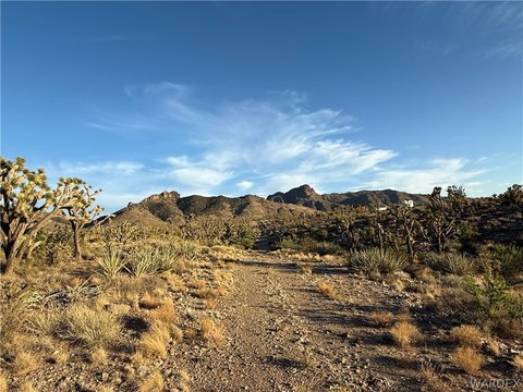 Undeveloped Land in Dolan Springs