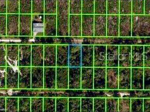 Residential Lot in Sebring, FL