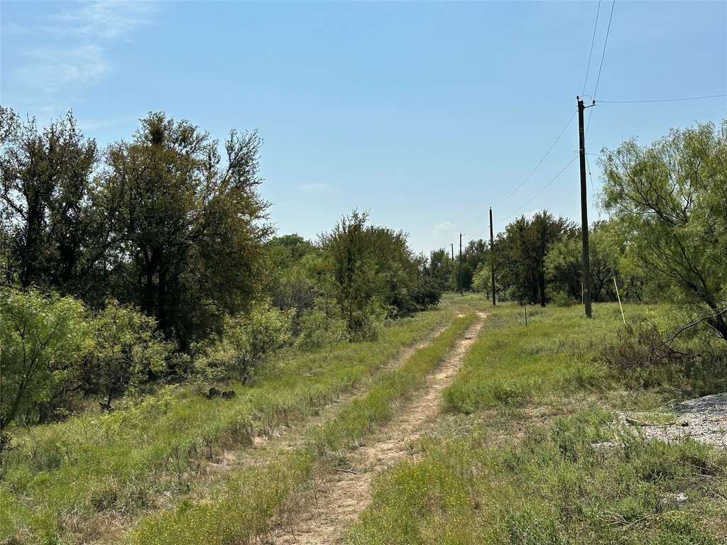 Picture 23