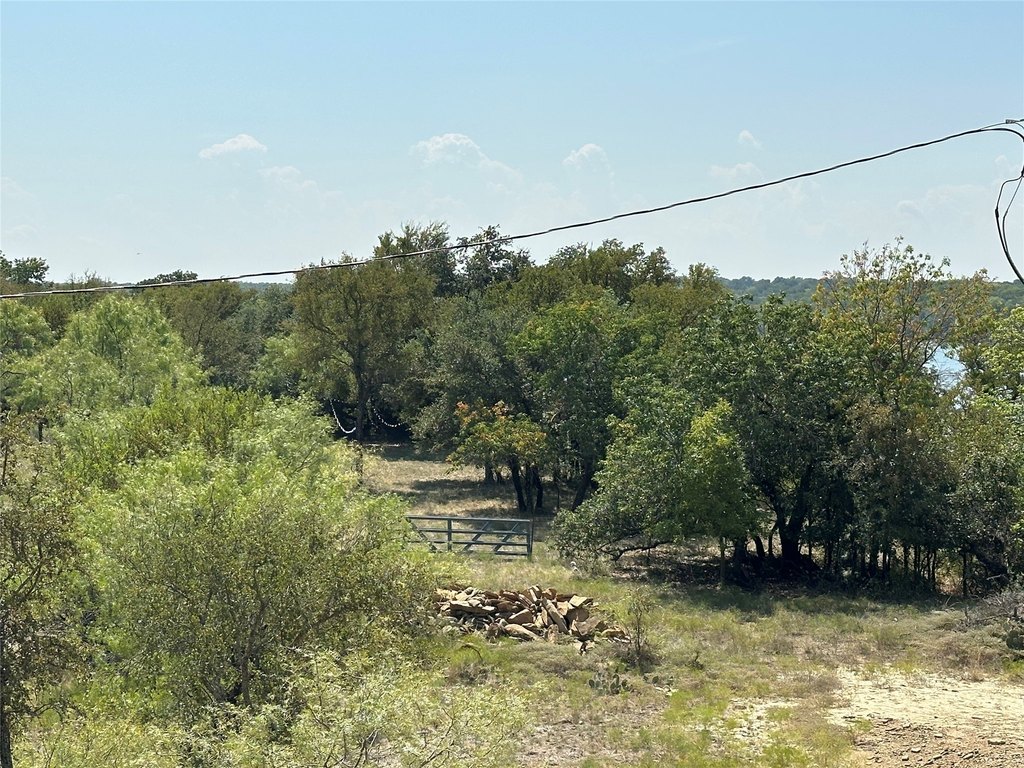 Picture 25
