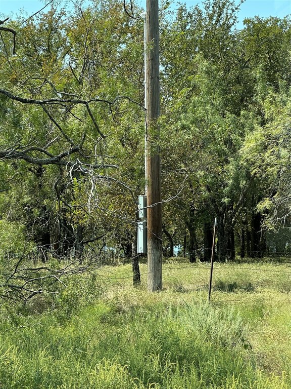 Picture 16