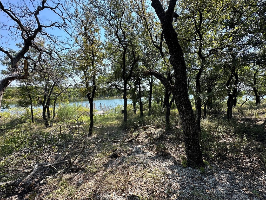 Picture 17