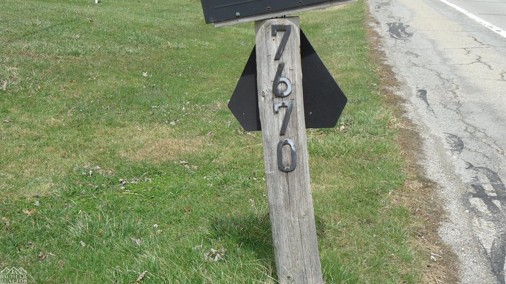 Picture 8