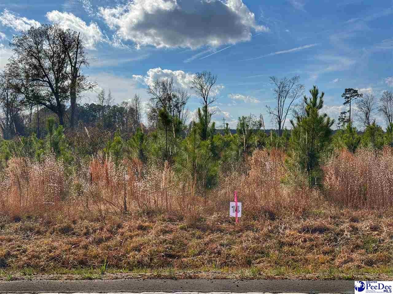 Residential Lot in Latta, SC