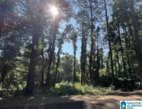 LAND - IRONDALE, AL