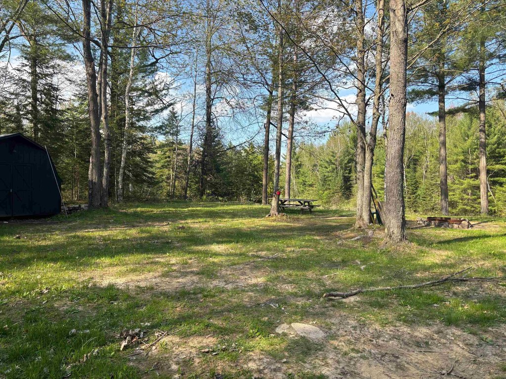 Picture 11
