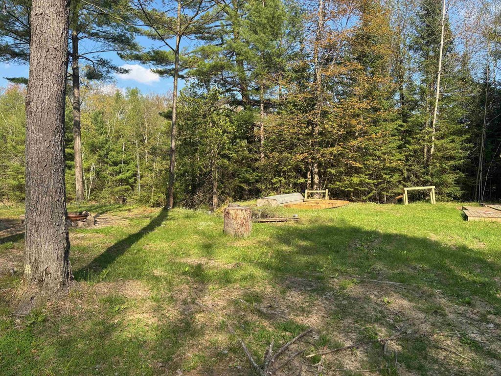 Picture 14