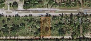 Wooded Residential Land Parcel