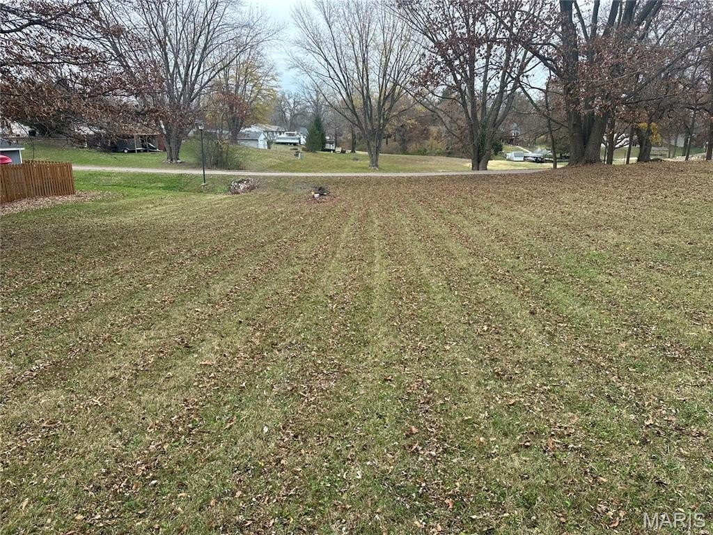 Picture 6