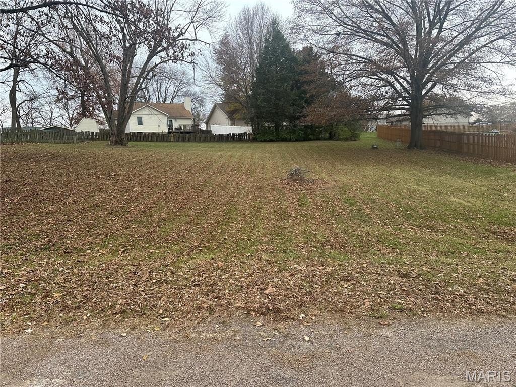 Picture 5