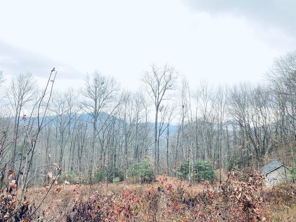 Land in Hemlock Falls Area