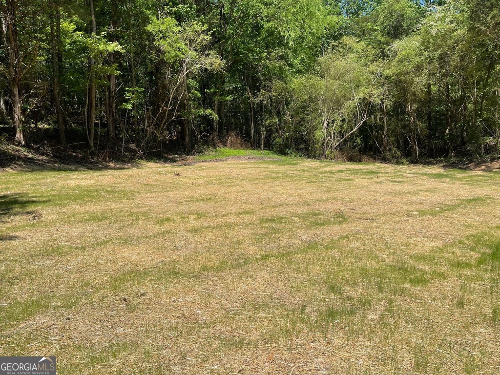 Picture 15