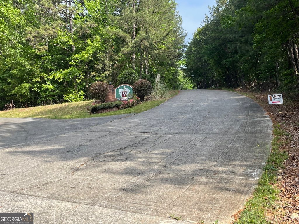 Picture 28