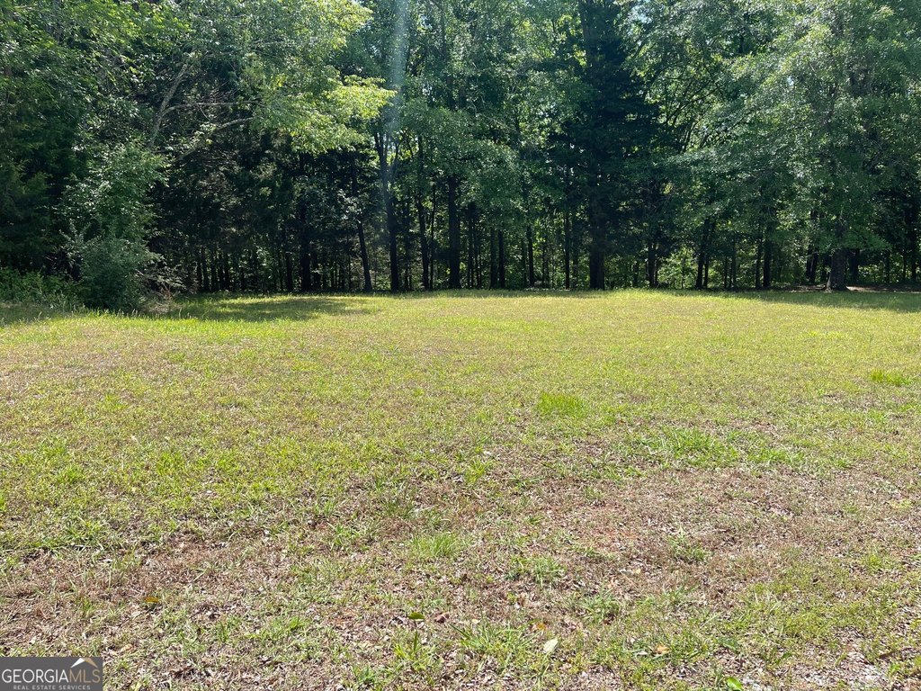 Picture 18