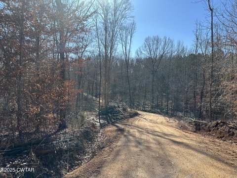 Reagan, TN Land For Sale