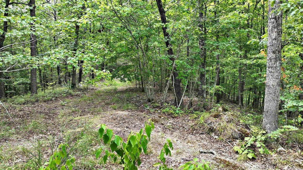Picture 47