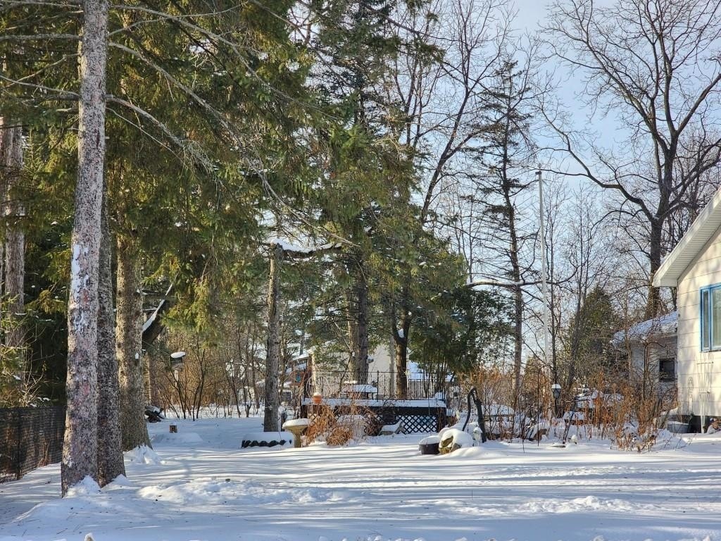 Picture 20