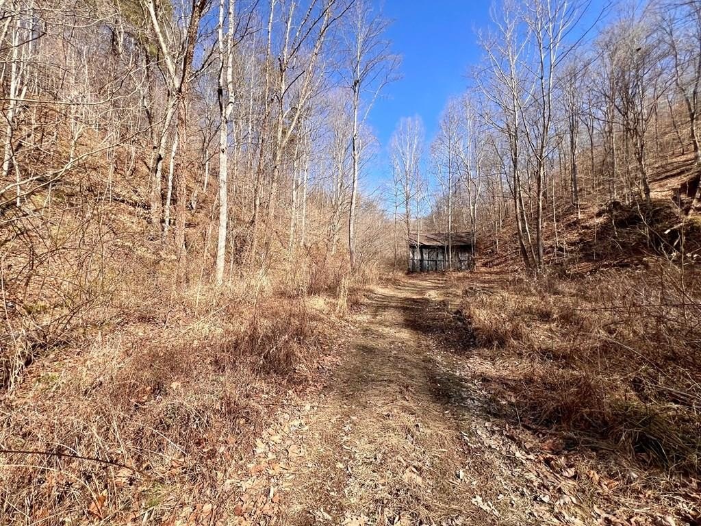 Salyersville Land with Mineral Rights