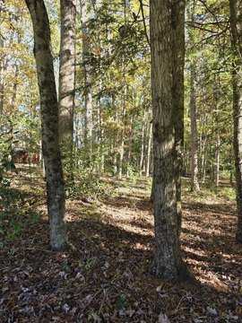 Land, SHADY SPRING, WV