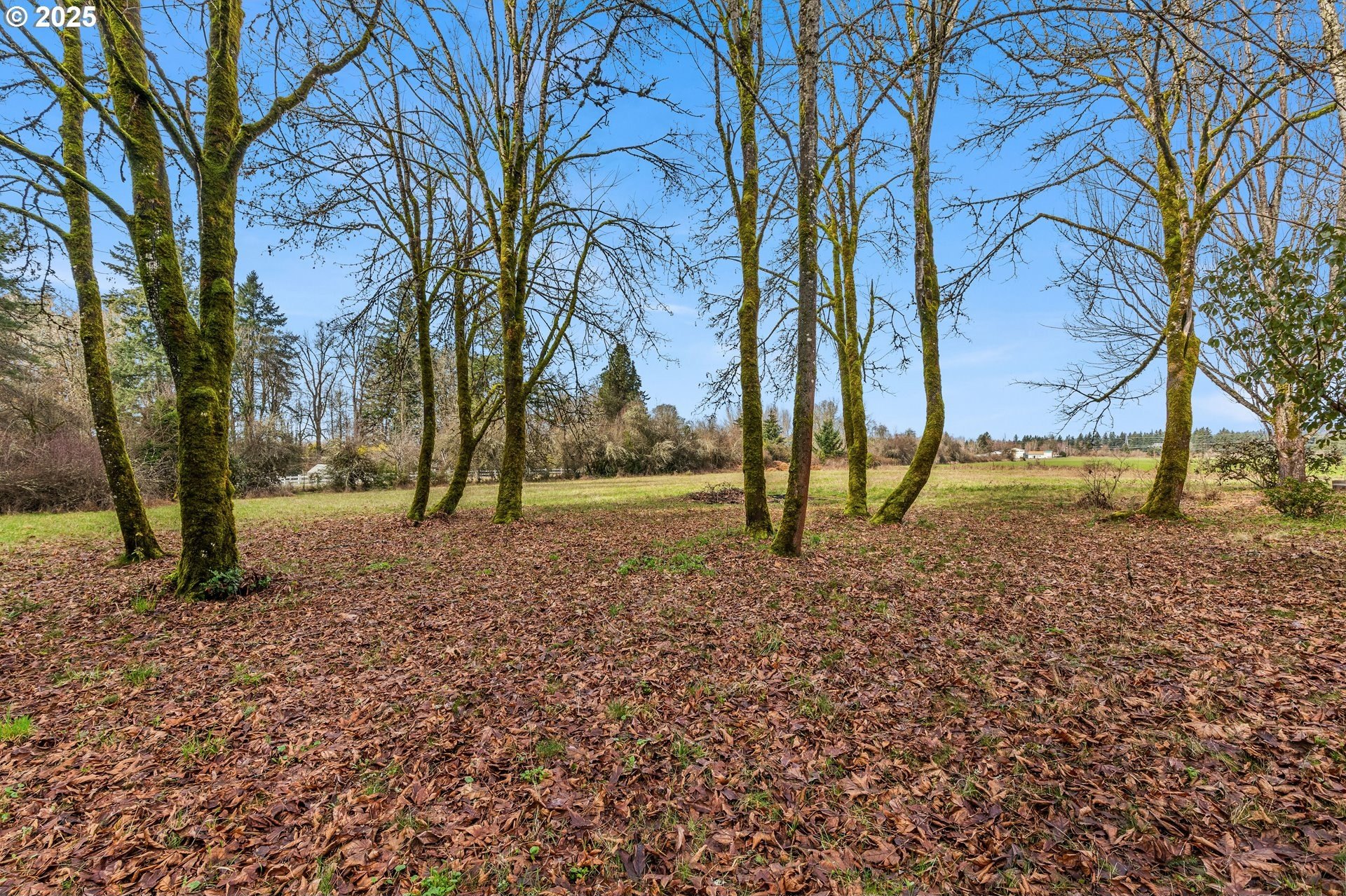 Wilsonville Land For Sale