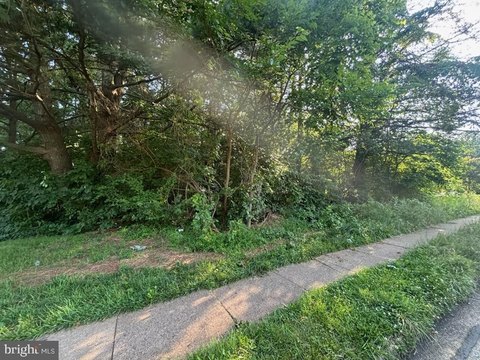 Woodbridge Land For Sale